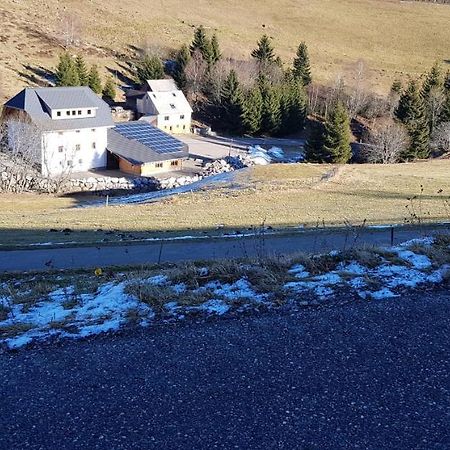 Ferienwohnung Natururlaub Muggenbrunn Тодтнау Екстер'єр фото