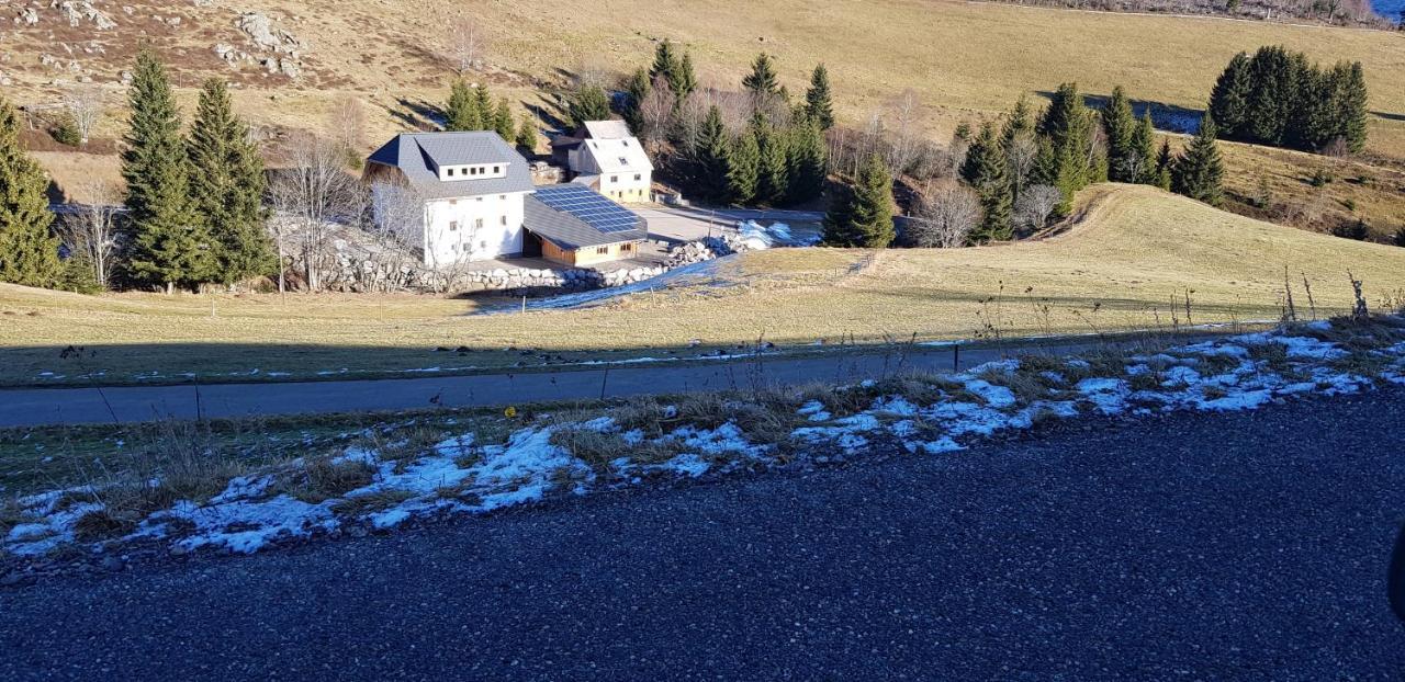 Ferienwohnung Natururlaub Muggenbrunn Тодтнау Екстер'єр фото