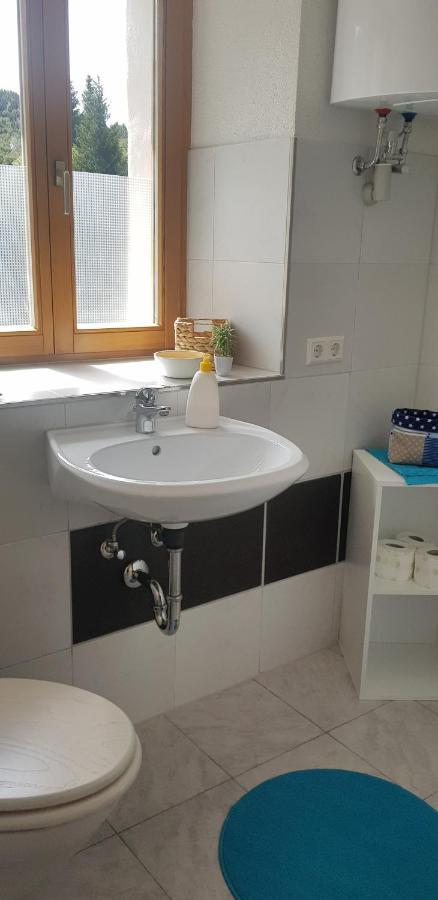 Ferienwohnung Natururlaub Muggenbrunn Тодтнау Екстер'єр фото
