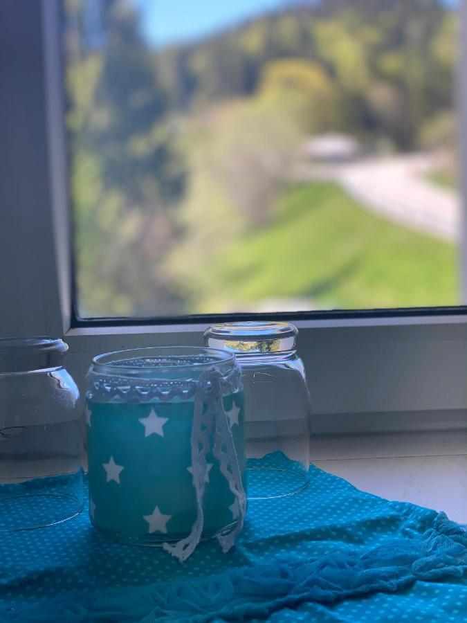 Ferienwohnung Natururlaub Muggenbrunn Тодтнау Екстер'єр фото